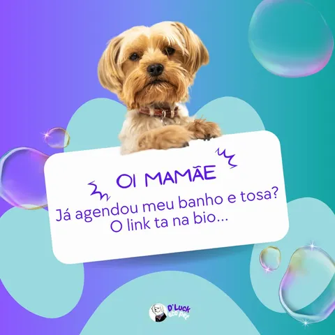 Post com yorkshire segurando a placa: Oi, mamãe, já agendou meu banho e tosa?
